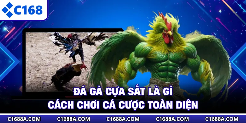 Đá Gà Cựa Sắt Là Gì - Cách Chơi Cá Cược Toàn Diện