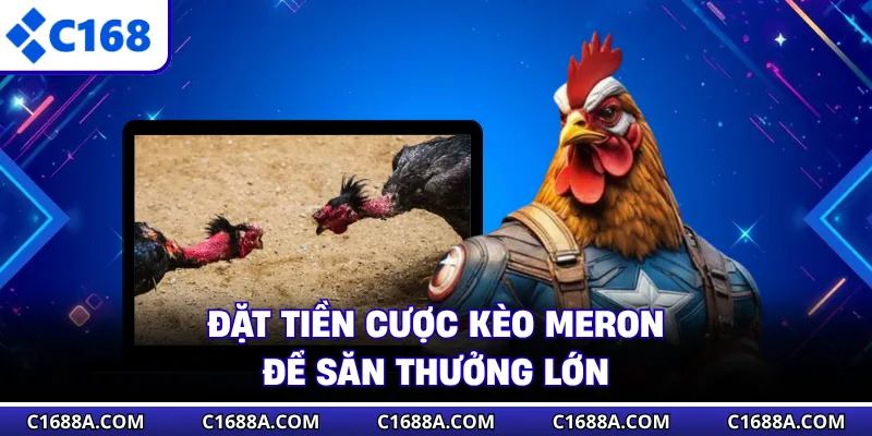 Đặt tiền cược kèo Meron để săn thưởng lớn