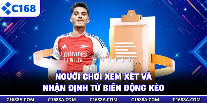 Người chơi xem xét và nhận định từ biến động kèo