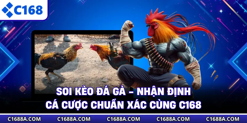 Soi Kèo Đá Gà - Nhận Định Cá Cược Chuẩn Xác Cùng C168
