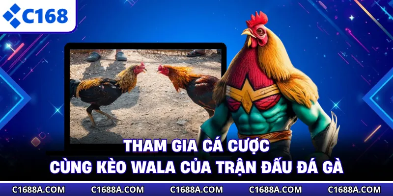 Tham gia cá cược cùng kèo Wala của trận đấu đá gà