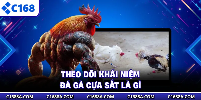 Theo dõi khái niệm đá gà cựa sắt là gì